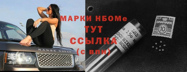 прущие грибы Верхний Тагил