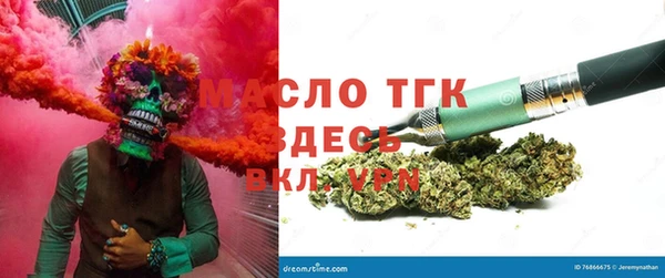 прущие грибы Верхний Тагил