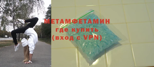 прущие грибы Верхний Тагил