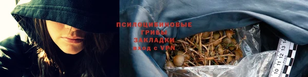 прущие грибы Верхний Тагил