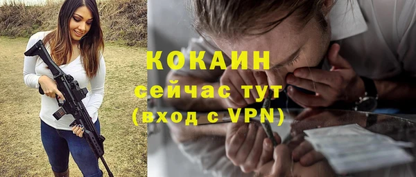 прущие грибы Верхний Тагил