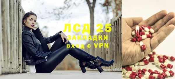 прущие грибы Верхний Тагил